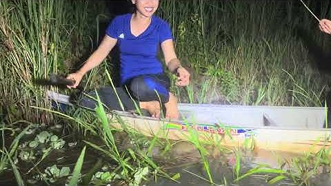 1744 / Nước nổi bơi xuồng theo bờ mẫu cắm câu