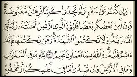 الصفحة 49 سورة البقرة فارس عباد