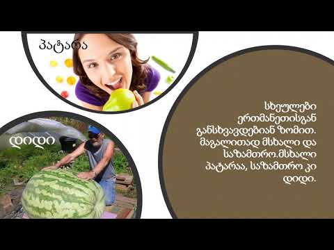 ბუნებისმეტყველება - სხეულები და მასალები