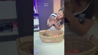 🐕‍🦺😍 American Bully dog, friendly, playful, silly, dog, dogsofinstagram, puppy, dogs, love, cute ...