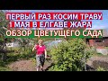 1 МАЯ В ЕЛГАВЕ ЖАРА ! ПЕРВЫЙ РАЗ КОСИМ ТРАВУ . ОБЗОР ЦВЕТУЩЕГО САДА