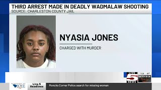 VIDEO: Deputies arrest third suspect in deadly Wadmalaw Island shooting