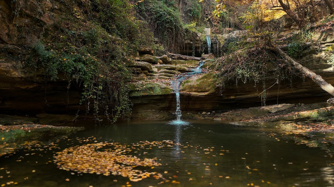 Autumn Forest Walk to ChodarehSar Waterfall | Kiasar Road, Mazandaran