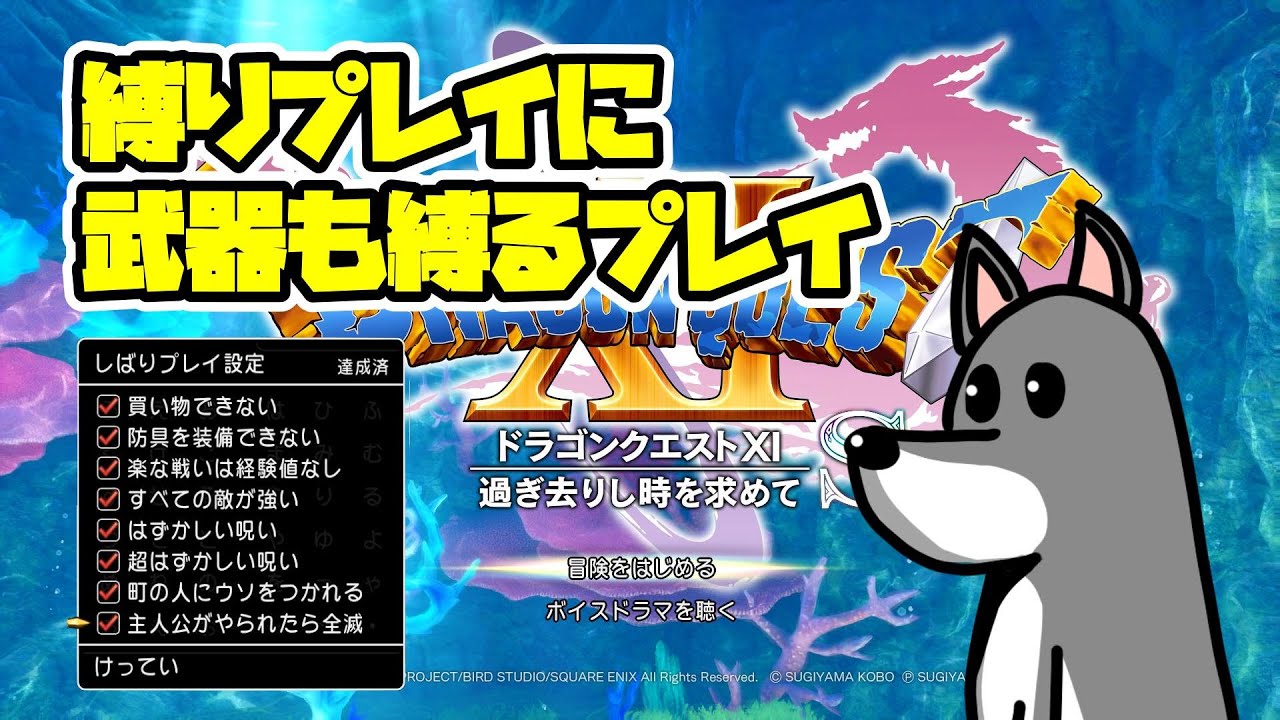 【DQ11S】縛りプレイすべてON+武器禁止で世界を救う物語【山田しばけん】