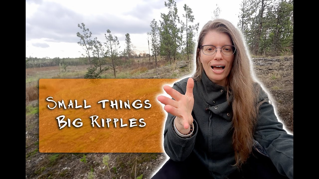 Small Things Create a Ripple Effect - YouTube