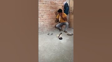 Nag nagin dance VFX video funny 🤣🤣#viral #viralvideo #shortfeed #training #snakelovers #snake