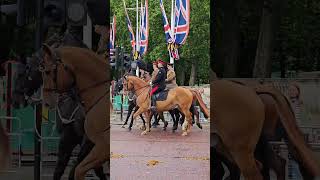 Trooping the Colour Rehearsal 2024