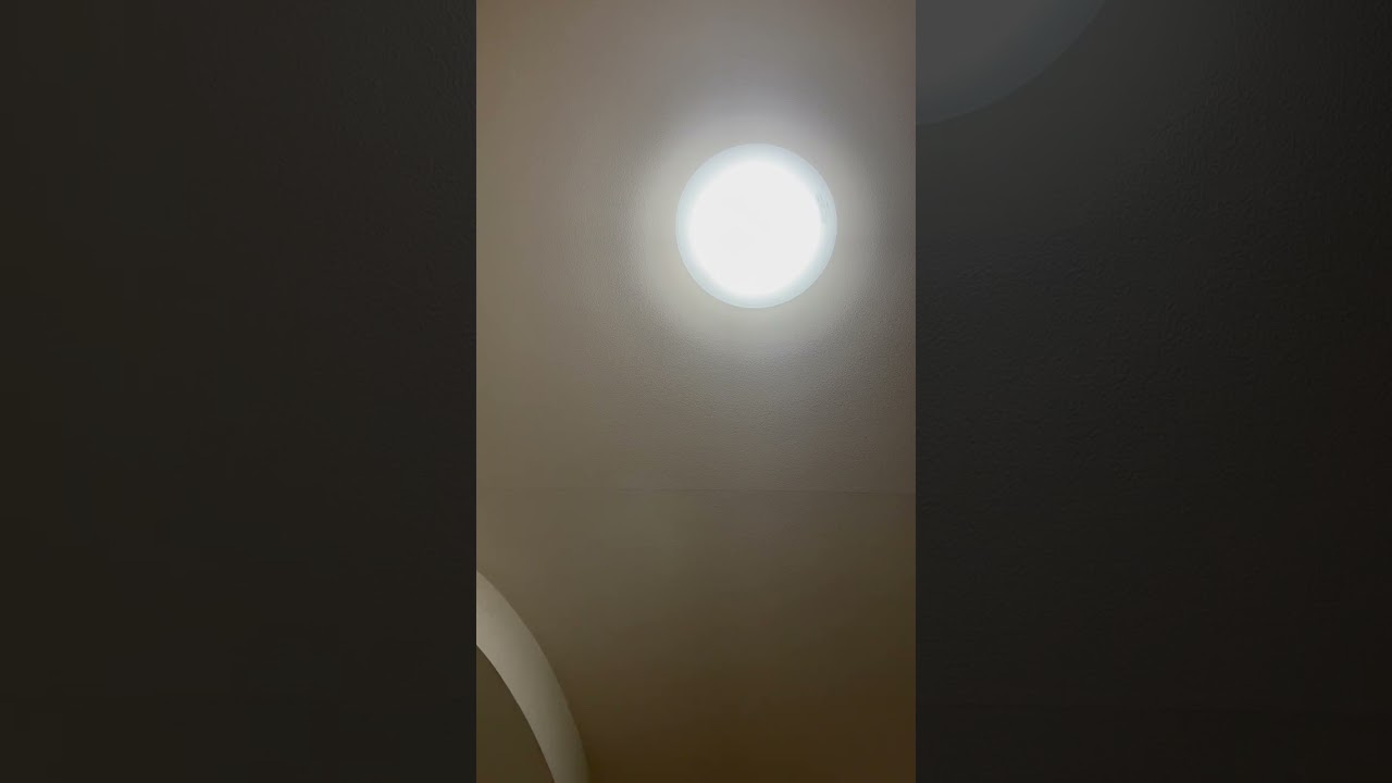 三線の日に「三線の花」を弾いてみた🪕