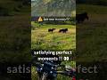 satisfying perfect moments #shorts