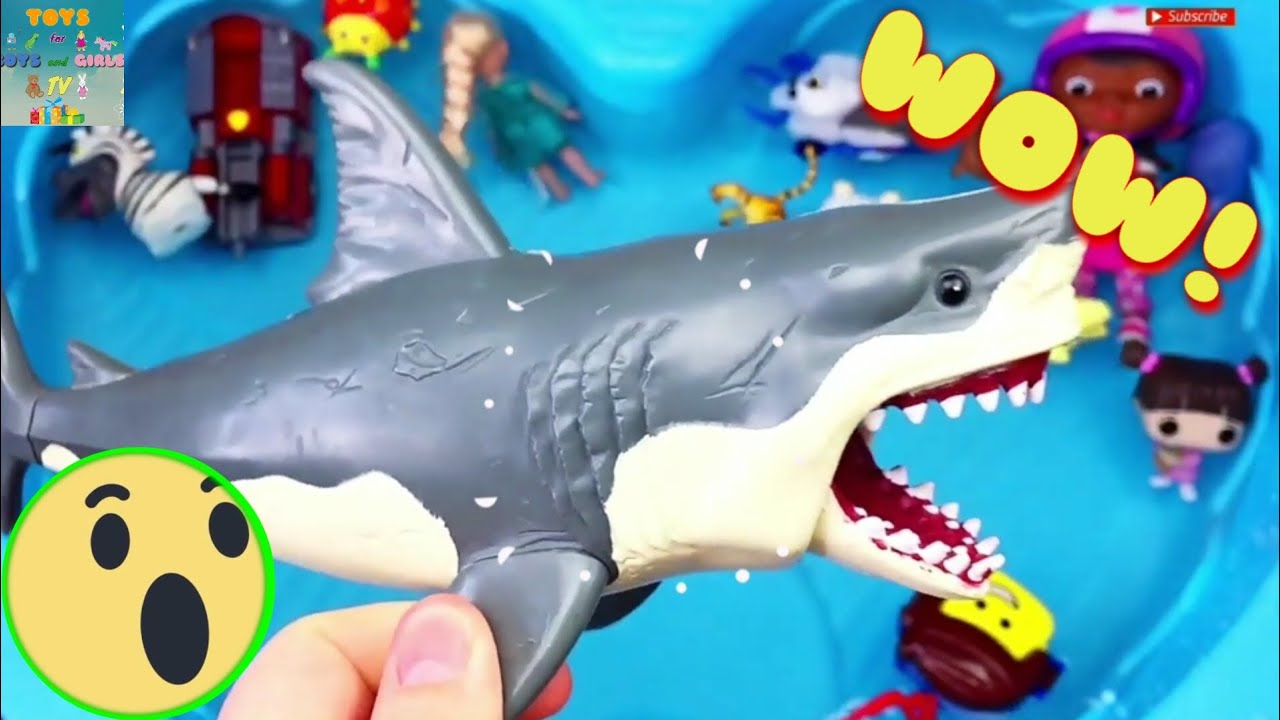 What Animals and Characters are these?Learn Characters,Wild Animals ...