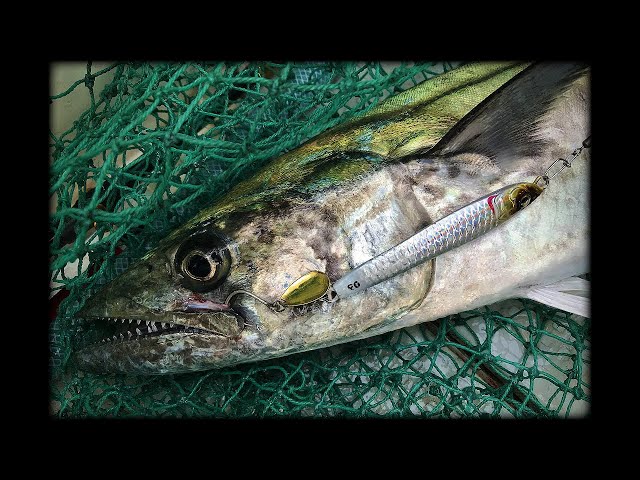 フィッシュアロー ネビュラ76S キャスト＆高速巻き - YouTube