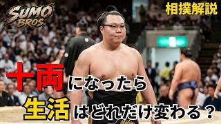 【大相撲解説】幕下と十両の壁がヤバすぎる…給料0円から月収〇〇万円へ？知られざる関取のリアル【SUMO BROS.】