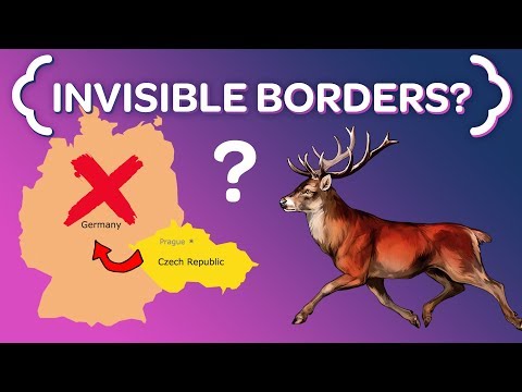 Video: Strange Behavior Of Deer On The Border Of Germany And The Czech Republic - Alternative View