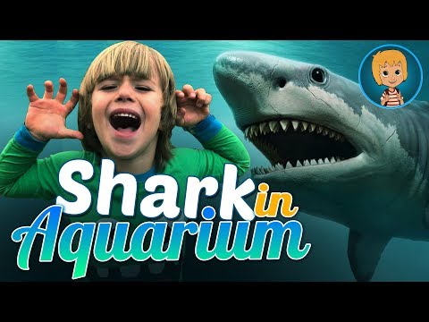 Sharks and SEA Animals at The AQUARIUM! with Gerti Toys