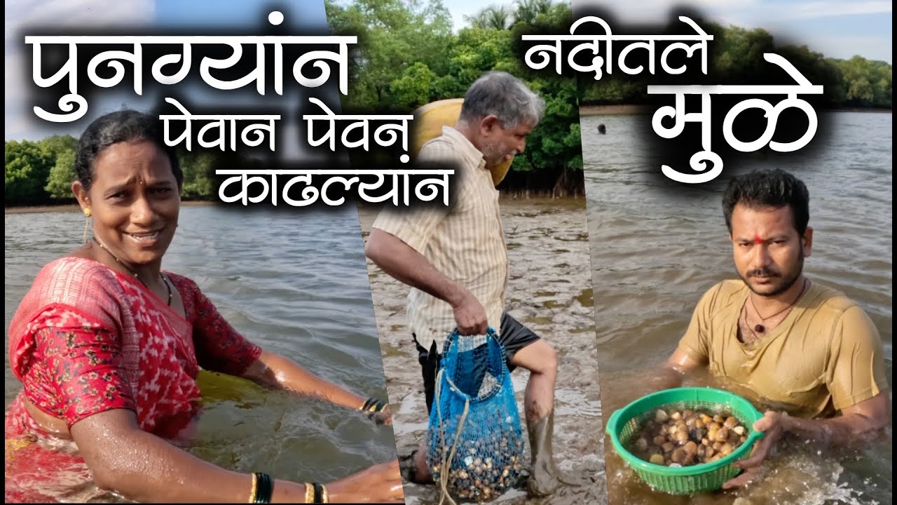 नदीत बुडान बुडान पुनग्यांन नी बाबल्यांन काढल्यांन मुळे | नदीतल्या शिंपल्या #कोंकणीजीवन #कोकण #kokani