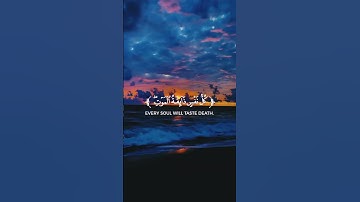 🌟القرآن الكريم - نور في ظلمات الحياة 🌟تلاوة خاشعة تلامس القلب ❤️ #اكسبلور #قرآن #المصحف #راحة_نفسية