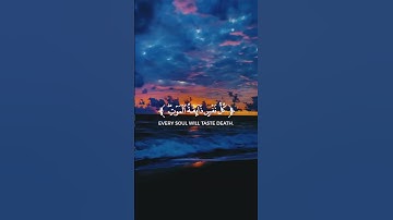 🌟القرآن الكريم - نور في ظلمات الحياة 🌟تلاوة خاشعة تلامس القلب ❤️ #اكسبلور #قرآن #المصحف #راحة_نفسية