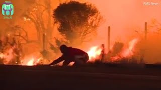 Man rescues rabbit amidst intensifying flames from LA wildfire