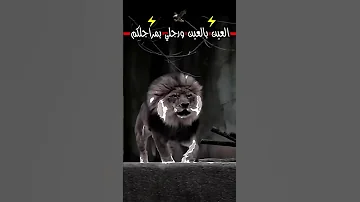 العين بل عين ورجلي بمراجلكم 