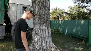 возим запчасти на туле с прицепом