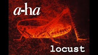 Aha  Locust  Memorial Beach  1993 