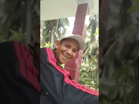 Video Thiết bị leo dừa kiểu ngồi| Bất ngờ với dụng cụ cưa... - youtube