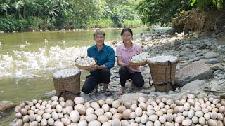 Come with me, harvest duck eggs, and build a love life on the farm, Triệu Thị Phương