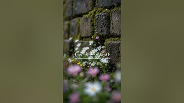 تلاوه خاشعة من سورة التوبة للقارئ فايح الحارثي ♥️🎧#quran #اكسبلور #المصحف 