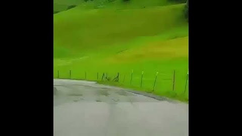 قرآن كريم بصوت عمر الدريويز 💌⚡ أجمل حالات واتس اب دينية مقاطع دينية قصيرة مقاطع انستقرام دينية