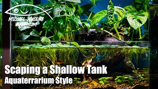 Scaping a shallow tank - aquaterrarium style