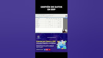 INTEGRACIÓN Y GESTIÓN DE DATOS EN ERP #contaportable #pyconta