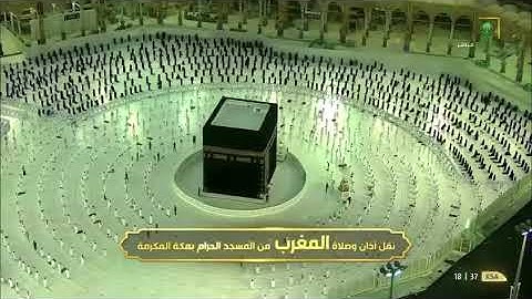 ماتيسر من سورة الليل و التكاثر بصوت الشيخ ياسر الدوسري