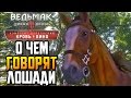 Ведьмак 3 Кровь и Вино ► О ЧЕМ ГОВОРЯТ ЛОШАДИ |32| Прохождение