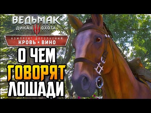 Ведьмак 3 Кровь и Вино ► О ЧЕМ ГОВОРЯТ ЛОШАДИ |32| Прохождение