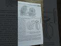 zoology important diagram BSc  vbspu class 12 NCERT nep #biology #science #lifeisbutadream #biology
