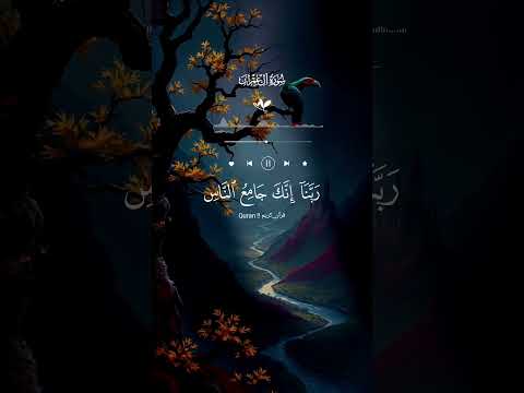 ربنا لا تزغ قلوبنا بعد اذ هديتنا Quran قران كريم اكسبلور مشاريع مشاري العفاسي