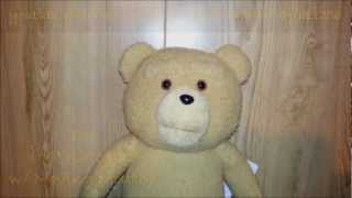 Ted (Rated R Talking 16" Plush w/ Moving Mouth)
