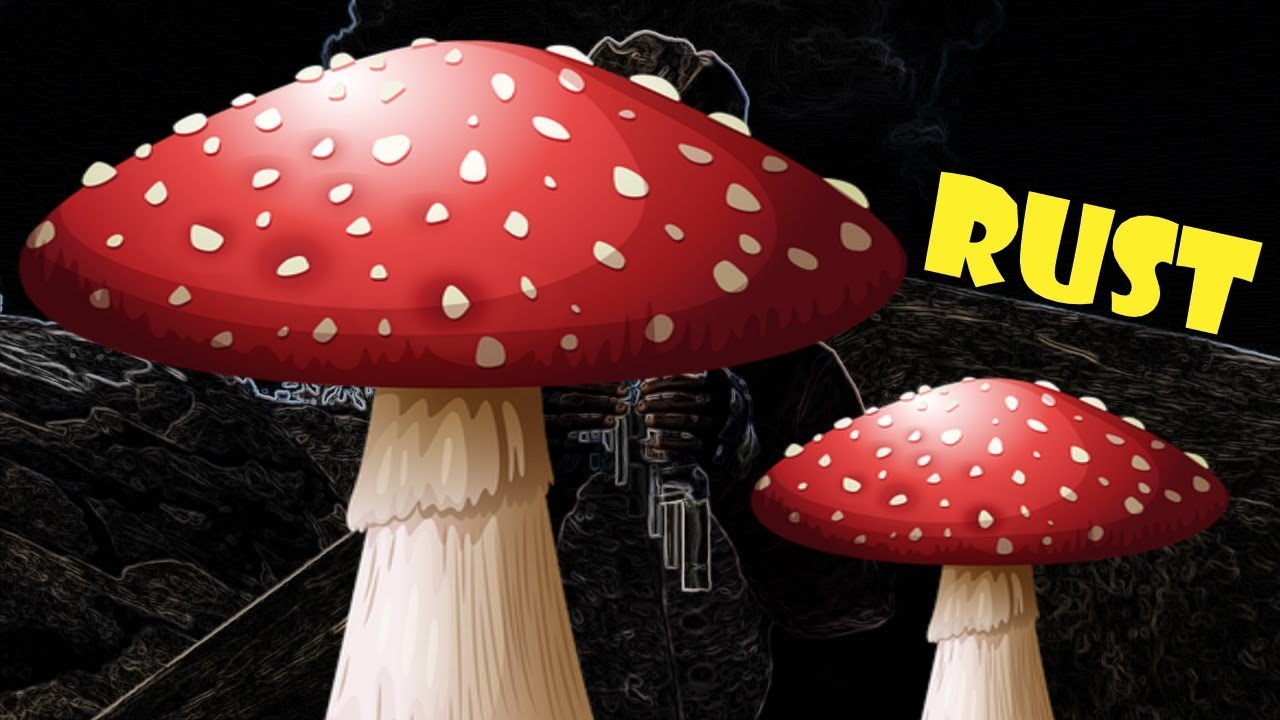 NEVER EAT MUSHROOMS IN RUST! YouTube