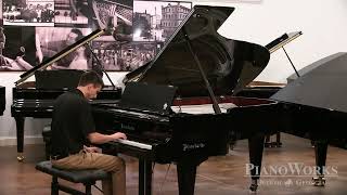 Bösendorfer 214VC Beethoven 250th | from 'Tempest' by PianoWorksAtlanta 1,719 views 1 year ago 2 minutes, 33 seconds