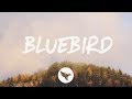 Miniature de la vidéo de la chanson Bluebird