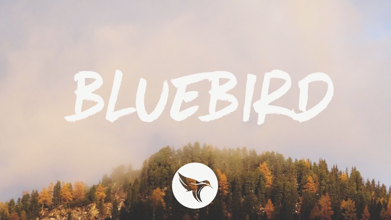 Naruto Shippuden「Blue Bird」- German ver. | FULL | Selphius