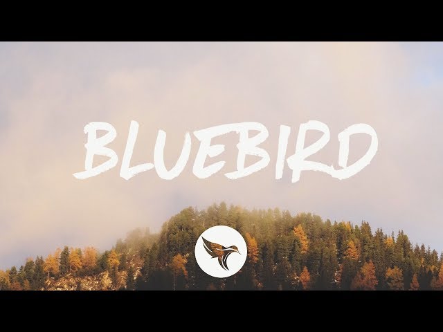Miranda Lambert - Bluebird (Lyrics) class=