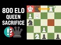 800 ELO Player Make A Queen Sacrifice !! | Chess_cat