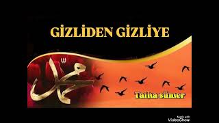 Talha Sümergizliden Gizliye