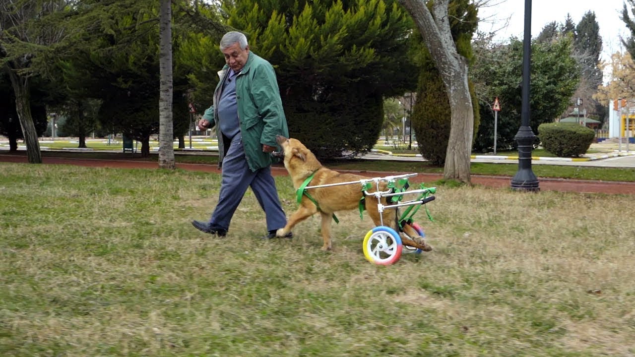 Bade, tekrar koşup oynuyor! - Hayat Tamircisi 4. Bölüm