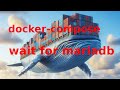 Docker compose wait until mariadb is running