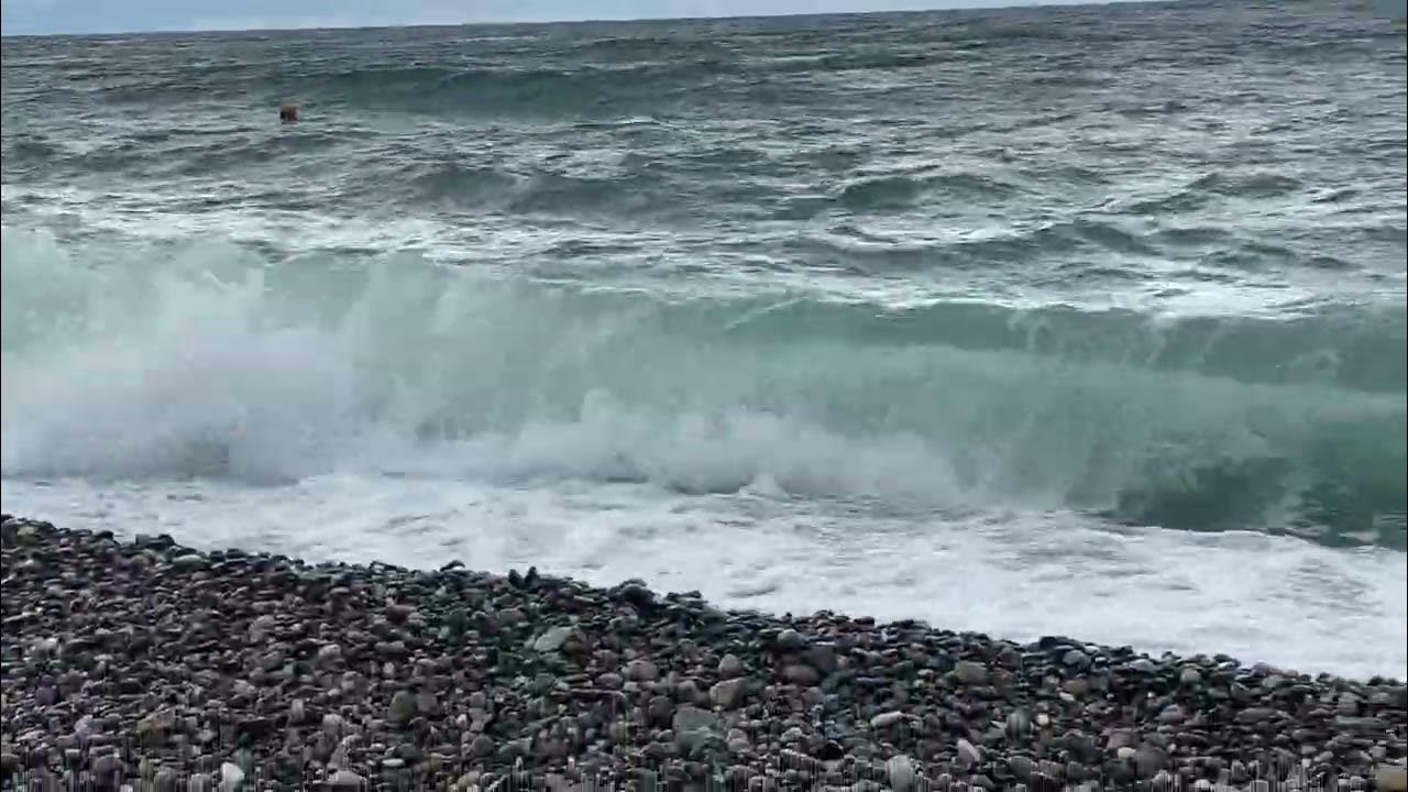 Фото черного моря на сегодняшний день