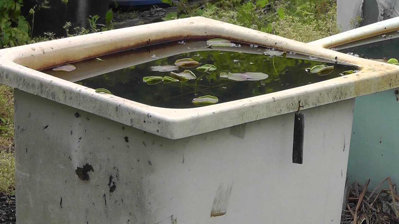 Field of Bathtubs in Japan YouTube