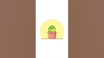 Cute plant in pots vector illustration