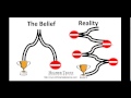 Road To Online Business Profit - Learning To Fail Fast